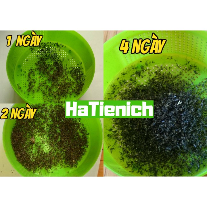 Đèn Bắt Muỗi HuBa Hiệu Quả Cao - Bảo Hành 24 tháng