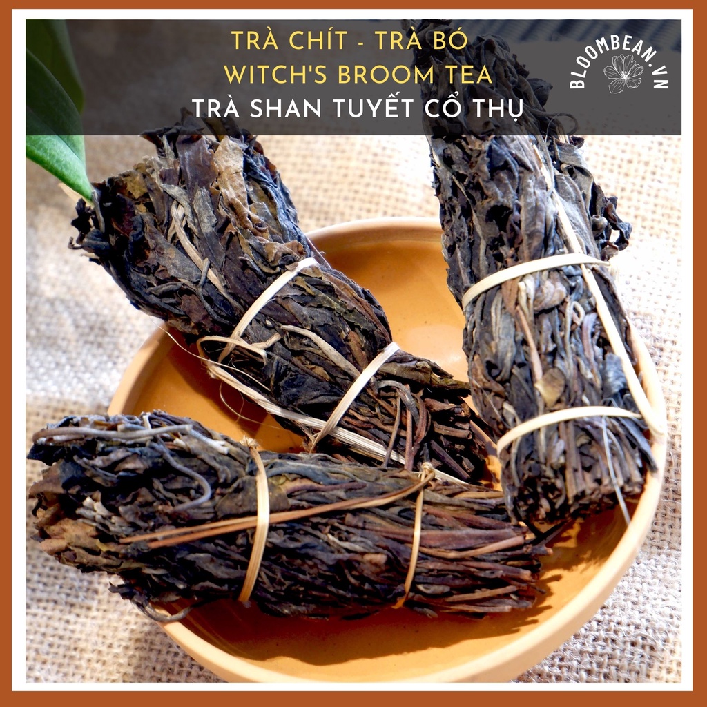 Trà Chít  -  Trà Shan Tuyết hữu cơ - Bloombean