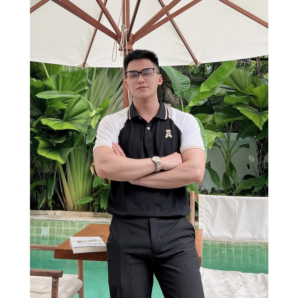 Áo Thun Polo Nam Retur vải Cotton trẻ trung, nặng động – HAFOS