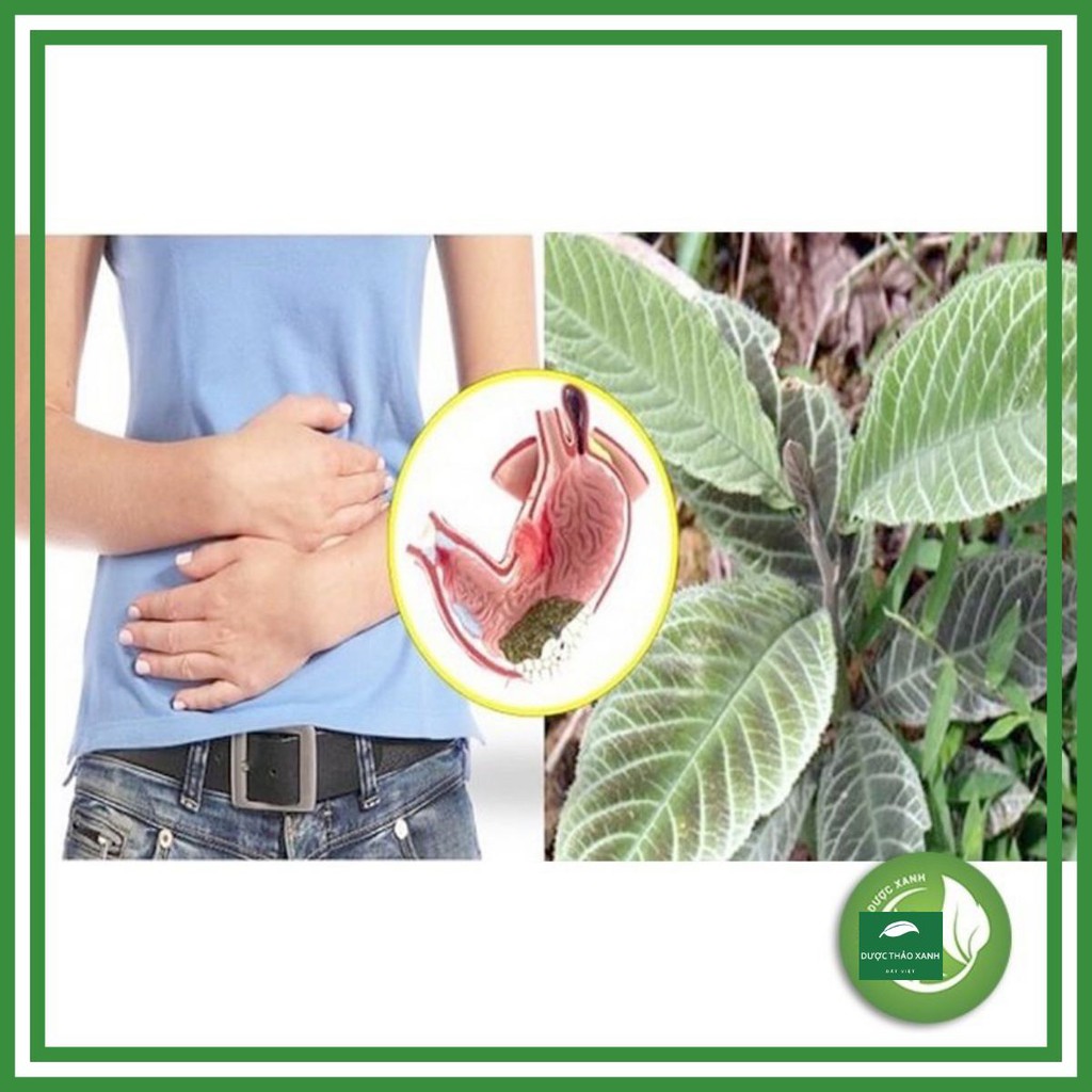 Lá khôi nhung 1 kg ( Khôi Tía) đảm bảo