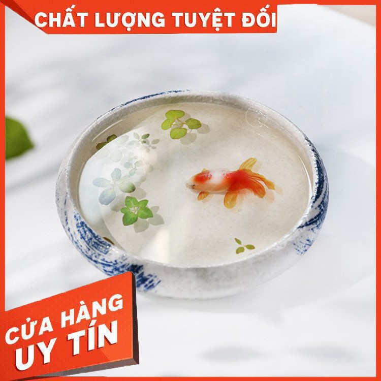 Sticker dán Cá vàng 3d- Vẽ tranh nghệ thuật Resin- CV003 - Hàng nhập khẩu