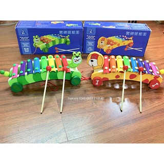 Bộ đàn xylophone đẹp hình con vật