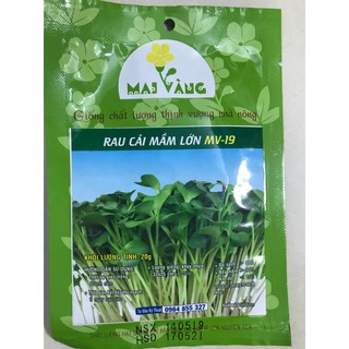 Hạt giống Rau cải mầm lớn 20g