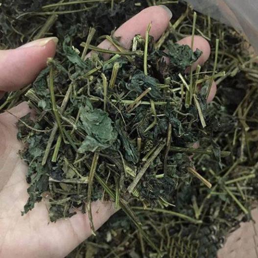 1kg Giảo cổ lam nguyên chất hàng loại 1 xịn chuẩn GT024