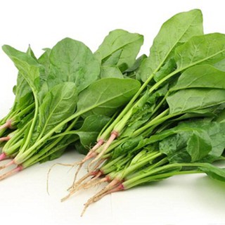 Hạt giống Cải Bó Xôi chịu nhietj (Rau chân Vịt - 1 gói 20gram )