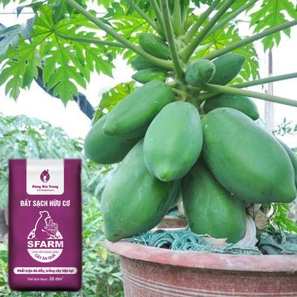 Đất sạch hữu cơ Sfarm chuyên dùng cho cây ăn quả Bao 20 dm3