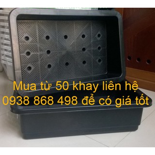 Combo 5 Khay trồng rau đen 65x42x16cm