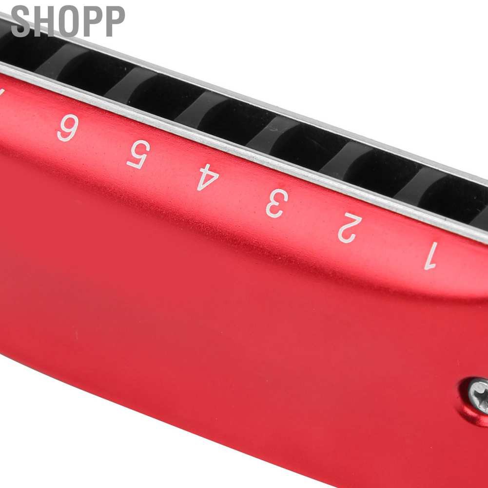 Kèn Harmonica Cho Học Sinh