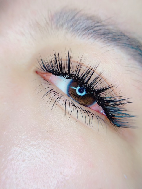 Mi độ cong M ,mi chồn ,mix size