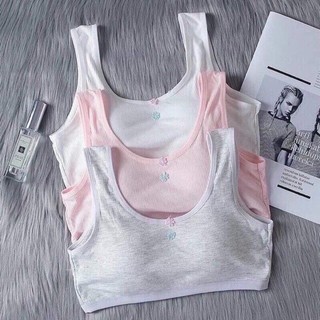 Áo lót học sinh nữ vải cotton tăm  dây to bản thích hợp bé gái cấp 1, cấp 2 - ao lot hoc sinh nữ