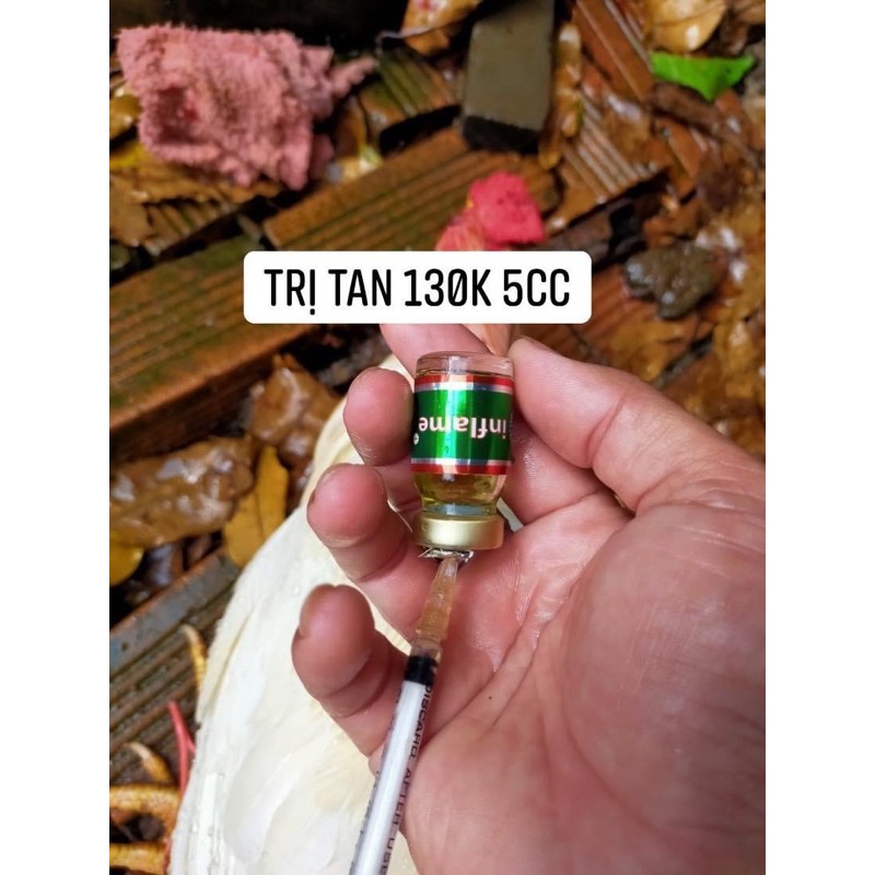 ĐỒNG Giá 100k