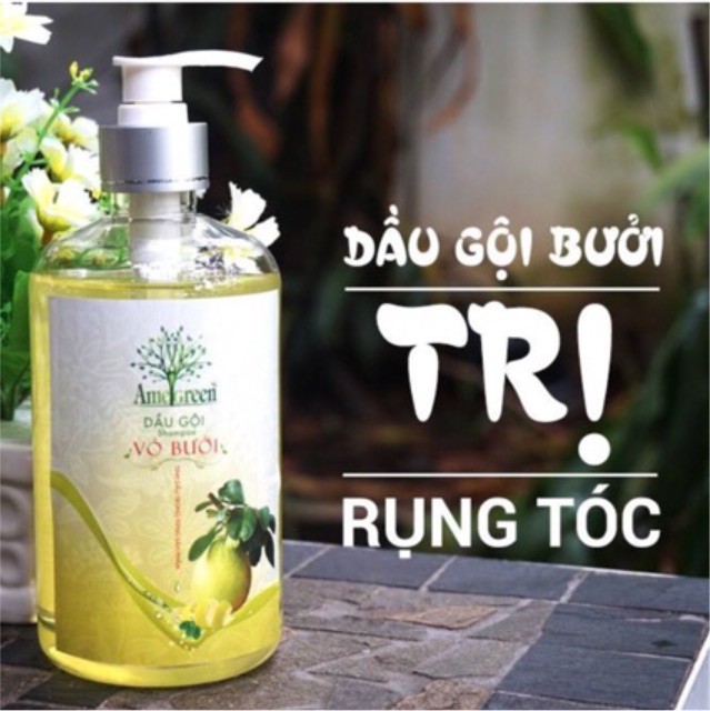 Dầu gội tinh dầu vỏ bưởi AMEGREEN trị rụng tóc 540gram | BigBuy360 - bigbuy360.vn