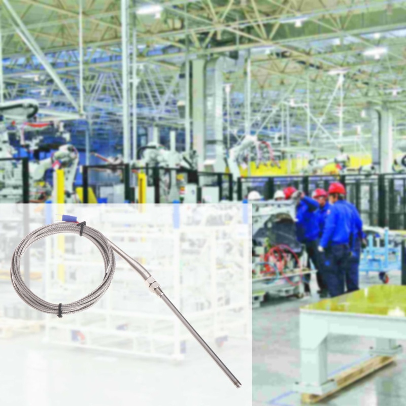 Cặp Cảm Biến Nhiệt M8 3m / 10ft 100mm