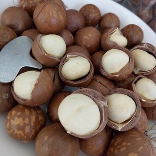 500gr Nhân Macca Lâm Đồng Cao Cấp - Đã sấy