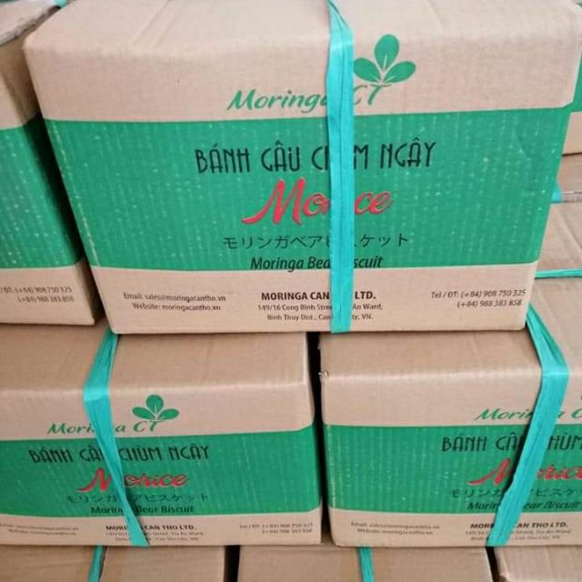 Bánh gấu Chocolate