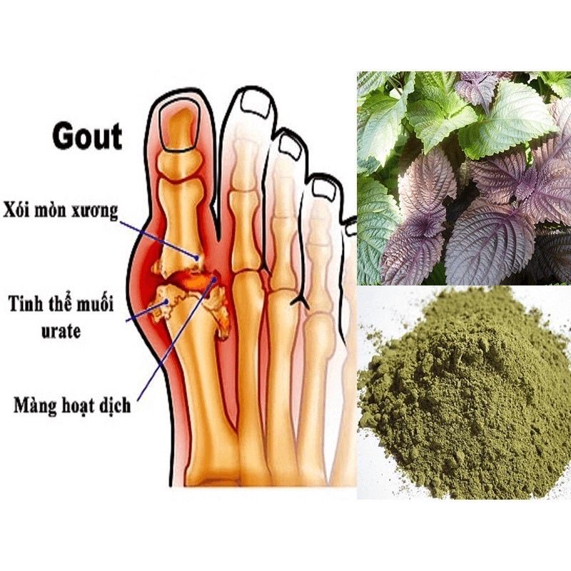 Bột tía tô nguyên chất gói 100g