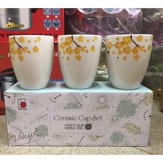 ly sứ Dong Hwa 💖 FREESHIP 💖 hộp 3 ly sứ Dong Hwa in hoa mai kèm hộp