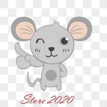 Store2020