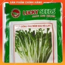 HẠT GIỐNG RAU MẦM ĐẬU HÀ LAN GÓI 50 GRAM