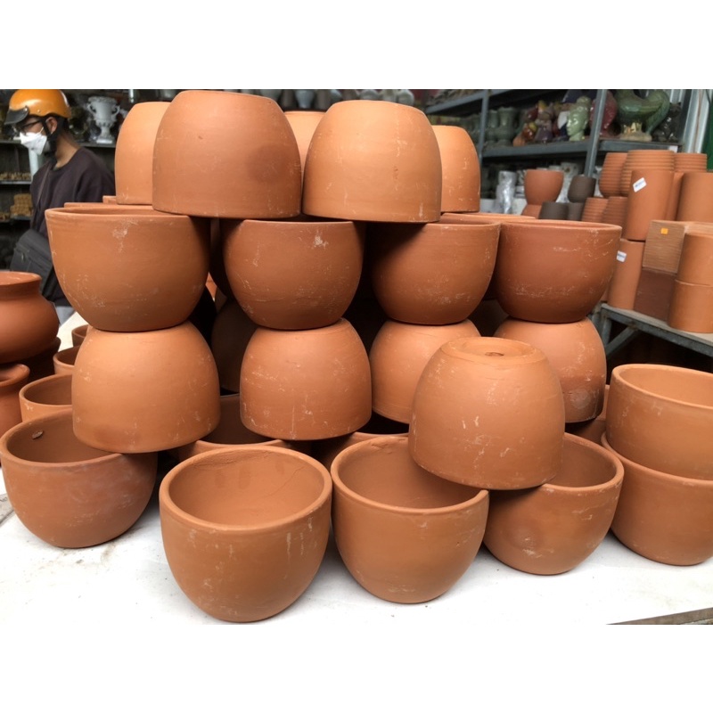 Chậu đất nung-Trồng sen đá-Size 8x8