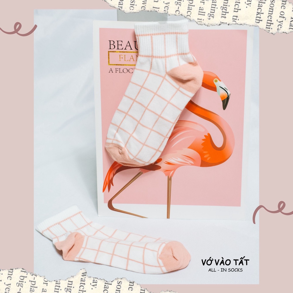 TẤT VỚ CỔ NGẮN NỮ HỒNG XINH XẮN