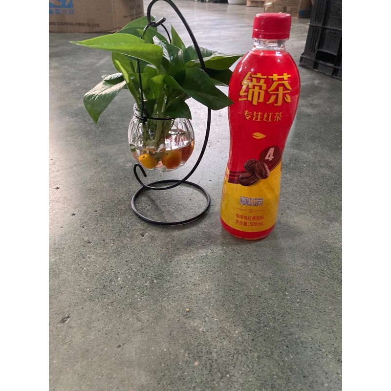 Binh cắm hoa kèm giá treo trang trí