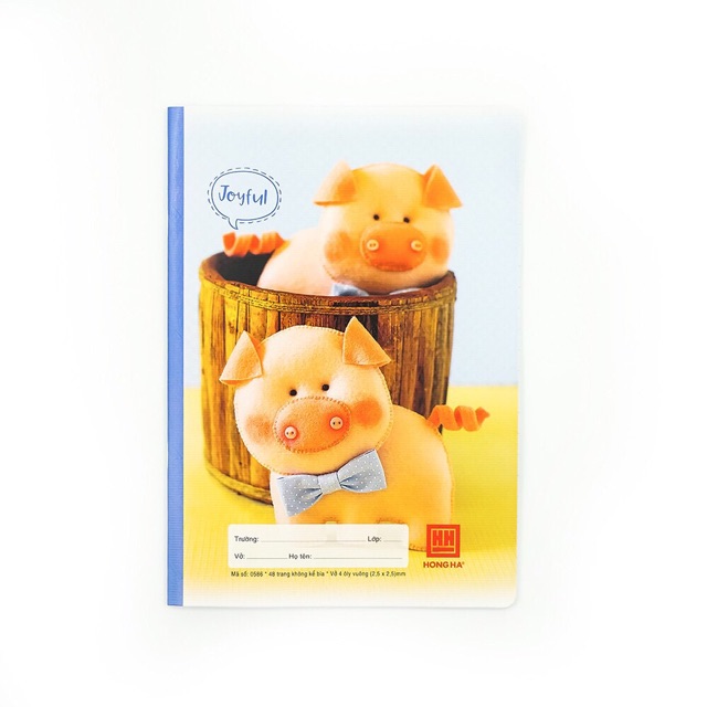 10 quyển vở ô ly Hồng Hà 80 trang 0565