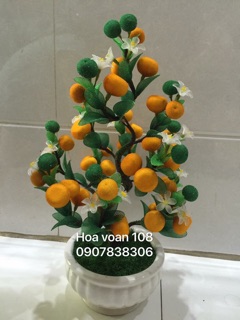Gốc cây hoa mai hoa đào