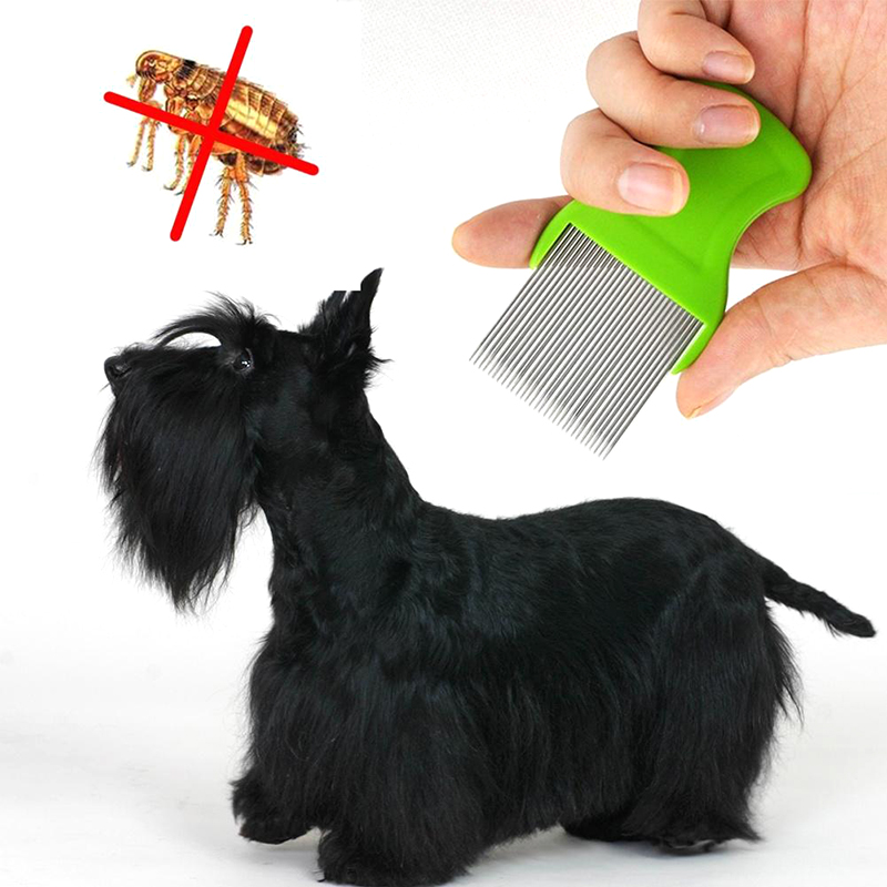 Lược Chải Lông Cho Thú Cưng Bằng Thép Không Gỉ