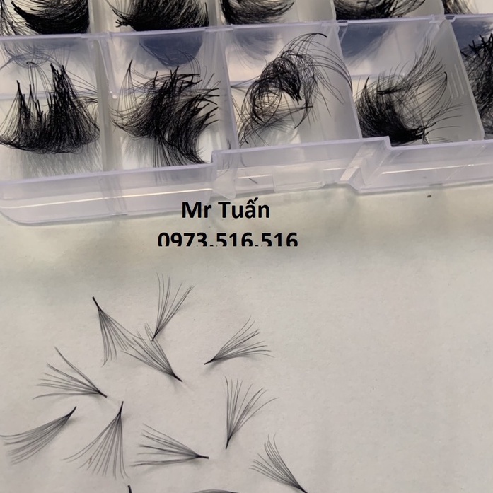 Mi FAN 12D C -CC- D 0.05 MIX SIZE (9-15)mm-(1000 fan)_dụng cụ nối mi