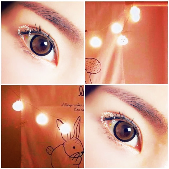 [Kính Áp Tròng] Sakura Brown