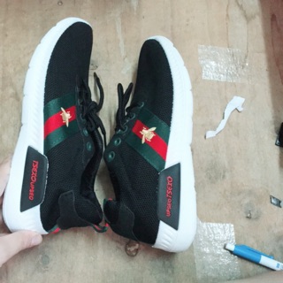 Giay the thao xã 100k ảnb minh họa