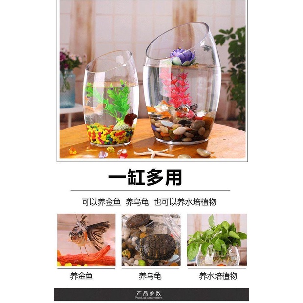 Bể Cá Thủy Tinh Trong Suốt Hình Tròn Cỡ Lớn Sáng Tạo Trang Trí Phòng Khách / Văn Phòng