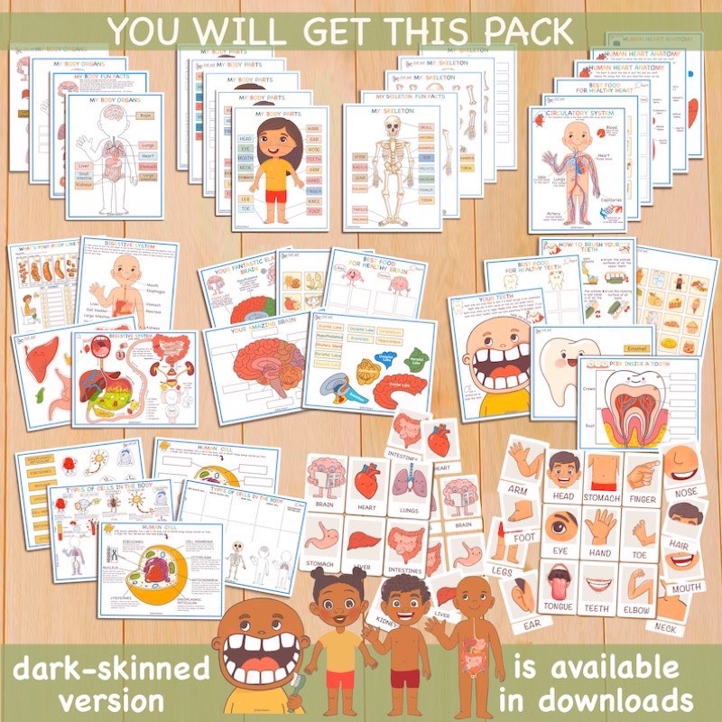 Học liệu bóc dán Montessori - Bộ cơ thể người-Anatomy busy book-matching book-quiet book- học liệu cho bé