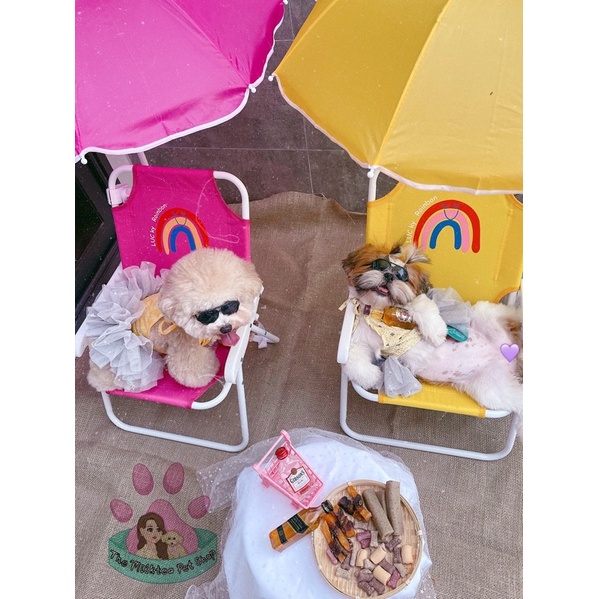 Ghế xếp kèm ô đi biển, picnic cho thú cưng và em bé HÀNG CÓ SẴN