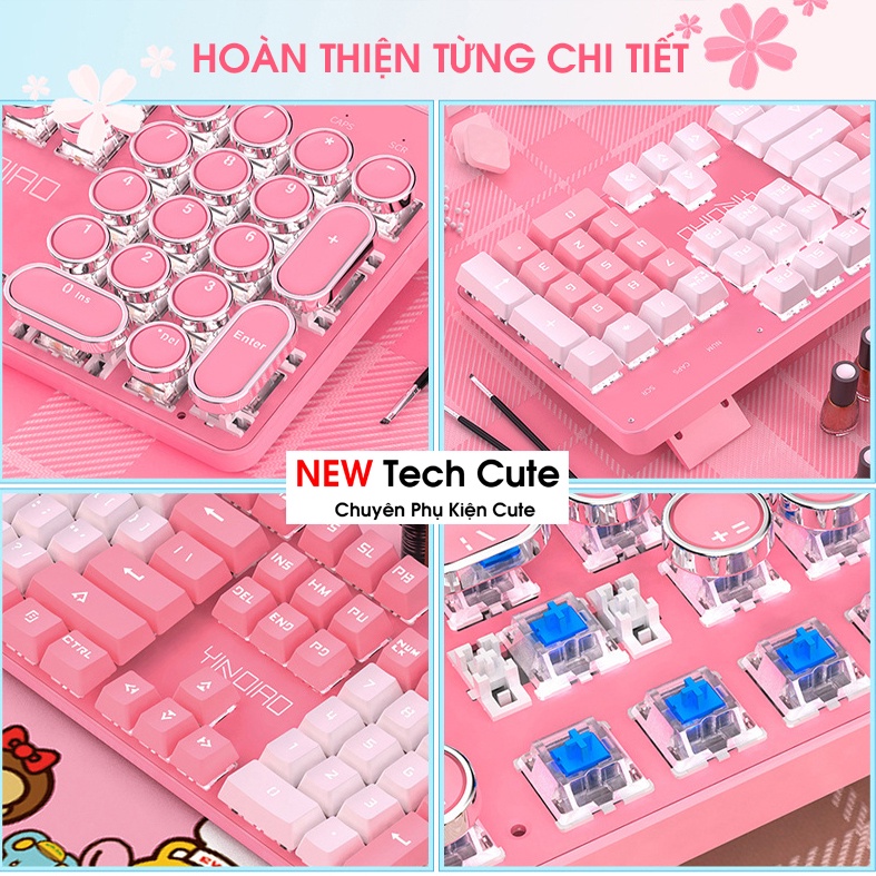 Bàn phím máy tính, bàn phím cơ HỒNG PRO T900 LED 10 Chế Độ, Phím Cơ Blue Gaming Máy Tính, Laptop, PC CHO NAM & NỮ