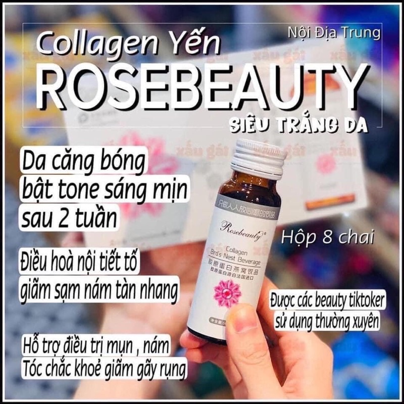 Uống Collagen tổ yến rose beauty