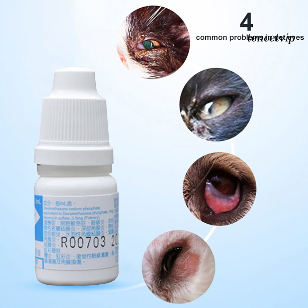 Dung dịch nhỏ mắt cho thú cưng 5ml tiện dụng