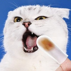 Khăn lau bọc ngón tay vệ sinh chó mèo mắt mũi răng miệng Taotaopet spa, phụ kiện thú nuôi nhỏ Con Mèo Xiêm