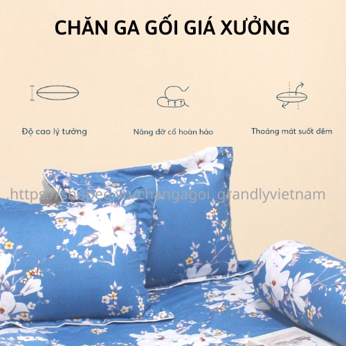 GIÁ TẠI XƯỞNG - BỘ GỐI VẢI BÔNG GRANDLY nhiều hoạ tiết in thẩm thấu