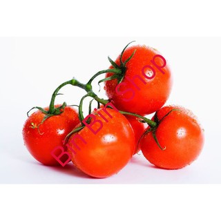 HẠT GIỐNG CÀ CHUA ẤN ĐỘ gói 30 hạt
