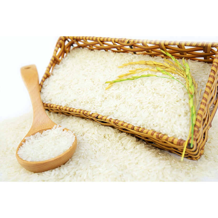 Gạo Bắc Hương Hải Hậu hàng loại ngon