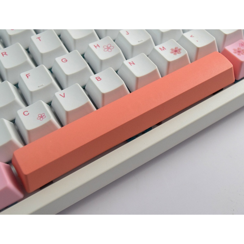 Nút Bàn Phím OEM PBT 6 25U Nhuộm Màu DIY