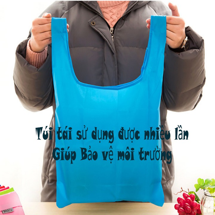 Túi đi chợ tiện dụng baggu - 00066