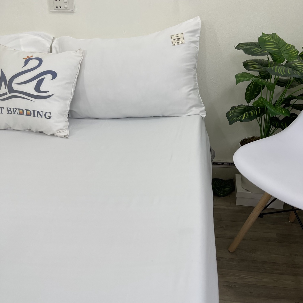 Sét ga gối Cotton Tici M2T bedding màu trắng drap ga giường chuyên dùng cho khách sạn, homestay, nhà nghỉ | BigBuy360 - bigbuy360.vn