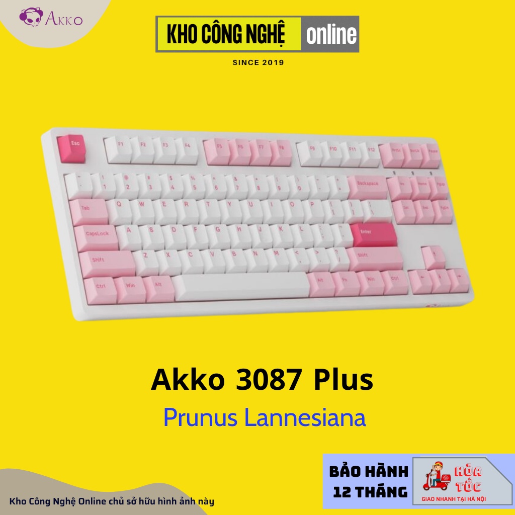 Bàn Phím Cơ AKKO 3087 Plus Black &amp; Cyan | 3087 Plus Prunus Lannesiana (Foam tiêu âm / AKKO CS switch)