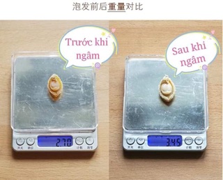 Bào Ngư khô (Size mini/Size trung)