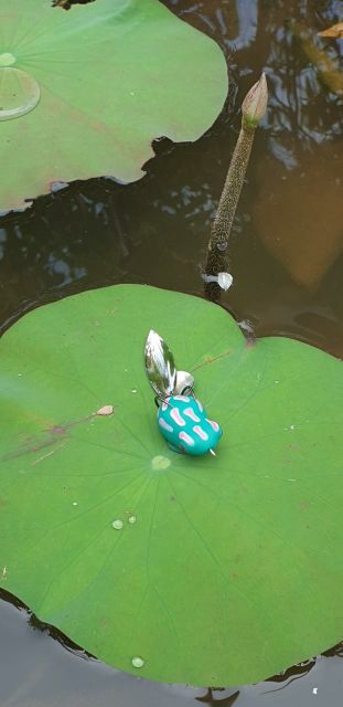 Nhái Hơi Super Frog Mồi câu lure cá lóc