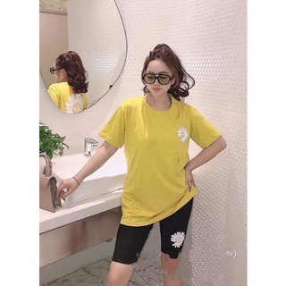 Đồ bộ nữ hoa cúc mặc nhà