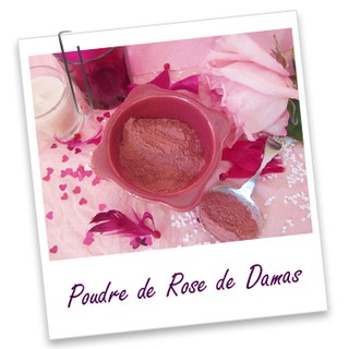 Bột hoa hồng Rose de Damas AROMA ZONE